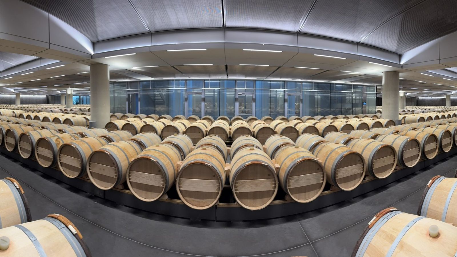 Le chai lumineux et ses rangées de barriques au château Lynch-Bages à Pauillac