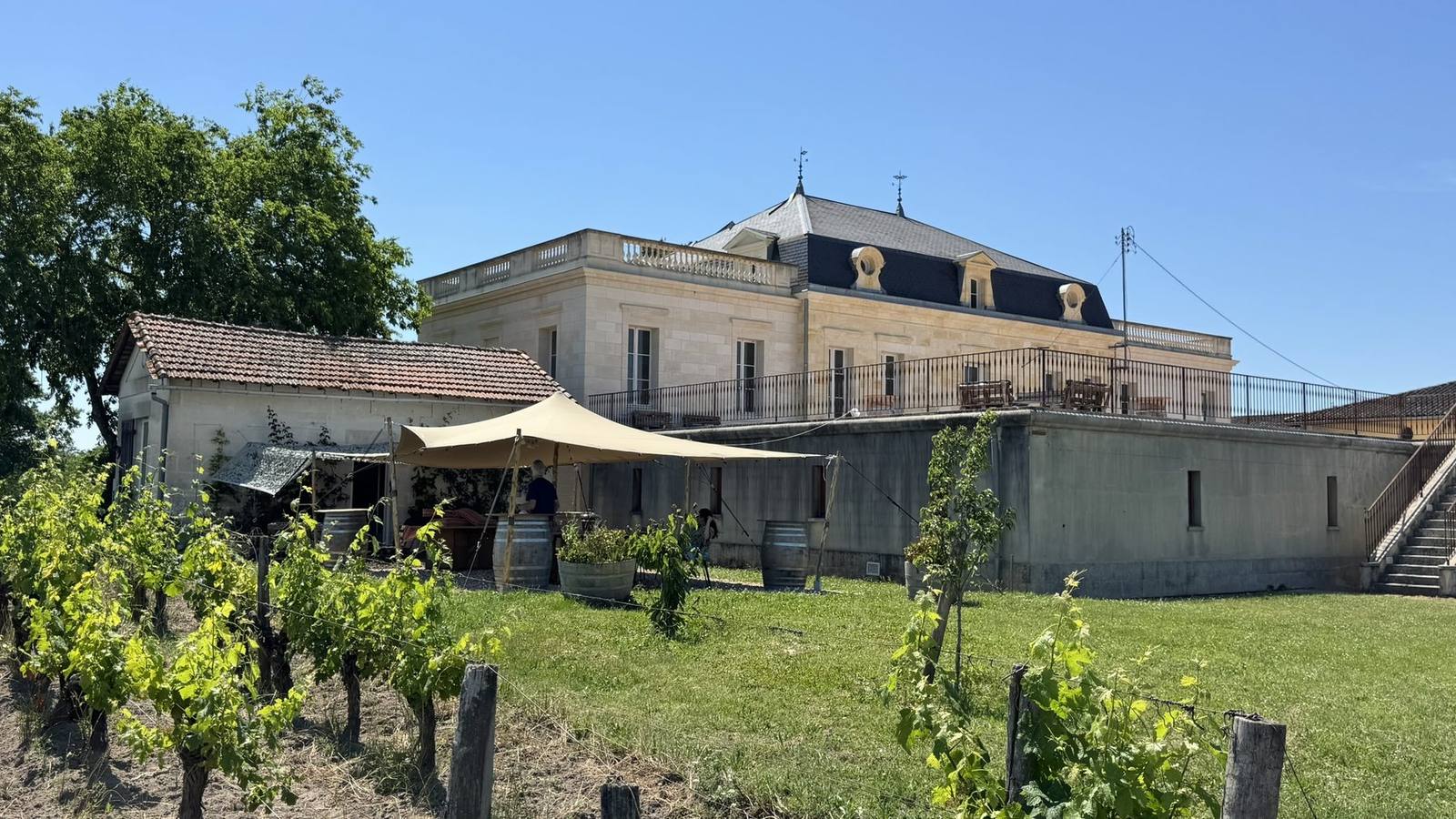 Le château Trianon au-dessus de ses vignes, à Saint-Émilion