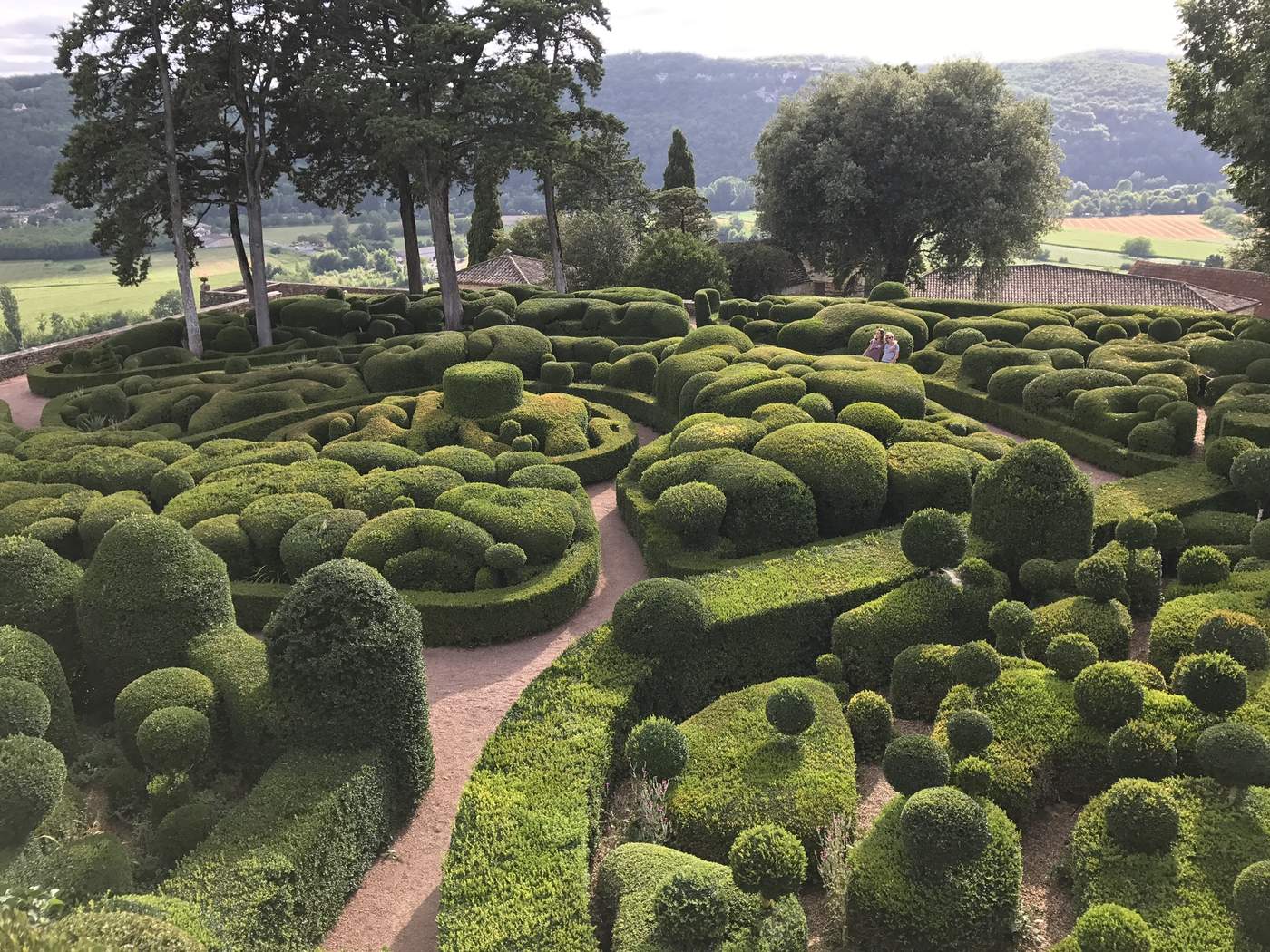 Les buis taillés des jardins suspendus de Marqueyssac à Vézac