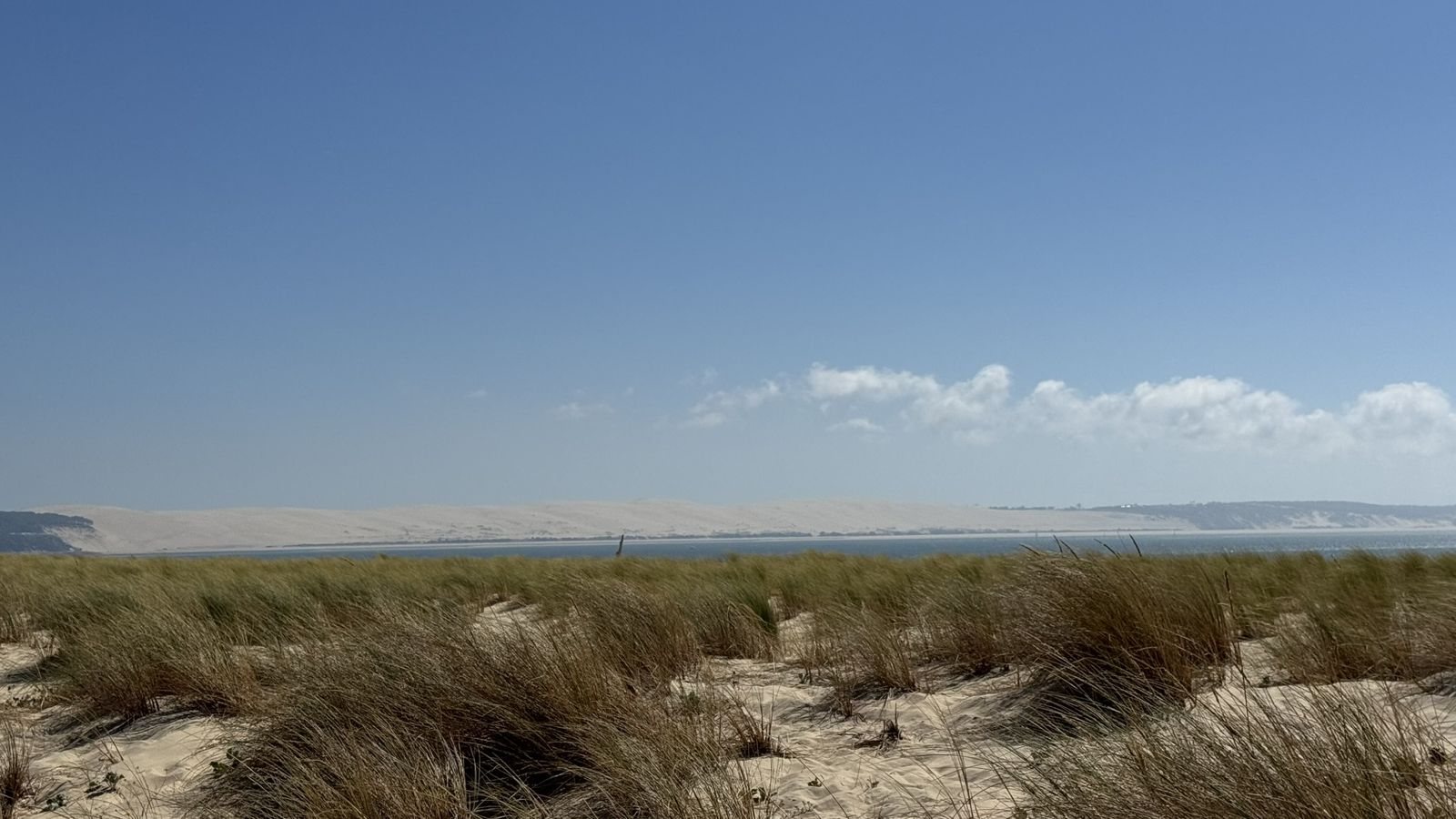 Dunes et oyats de la pointe du Cap Ferret, avec la dune du Pilat en face